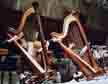 Meine Harfe im Oesterreich